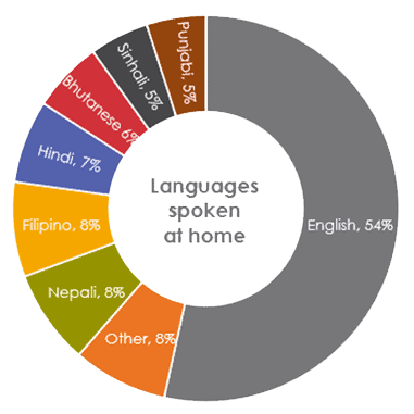 graph-languages